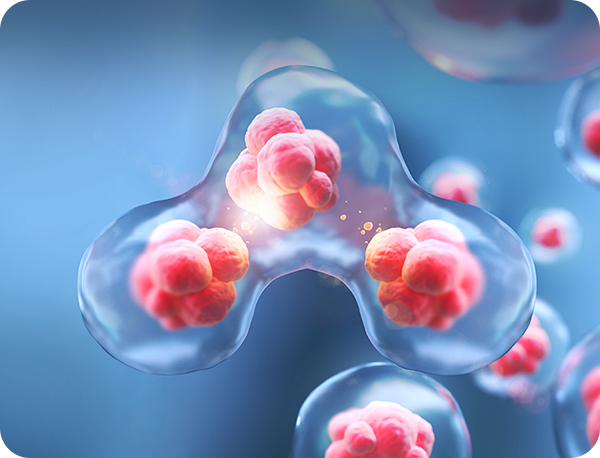 Enzyme-Linked Immunosorbent Assay （ELISA）