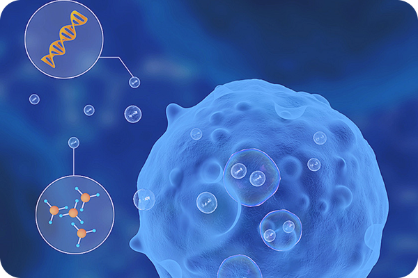 Western Blot（WB）