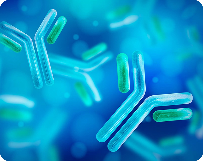 Pathology-Grade Primary Antibodies