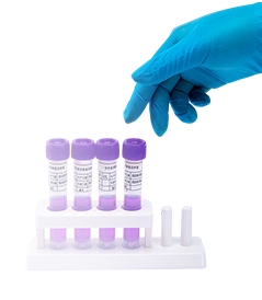 Methylated Antibodies